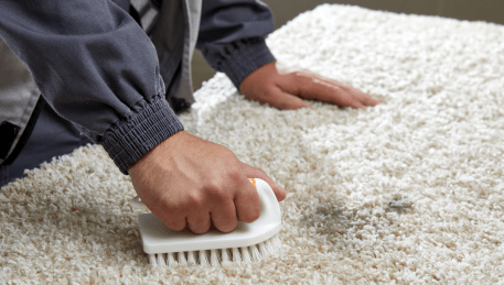 Professional Rug Cleaning Brunswick